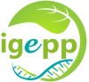 https://igepp.rennes.hub.inrae.fr/